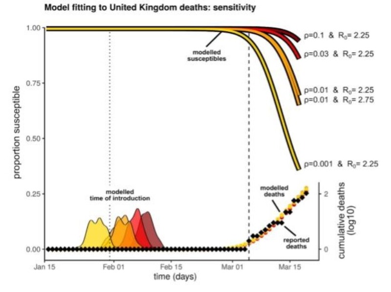 Has half the UK been exposed to COVID